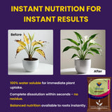 NOP 13 00 45 - Potassium Nitrate, NPK Fertilizers for Plants Growth & Healthy Home Garden | 100% Water Soluble Powder, Growth Boost for Fruits and Flowers - 25 Kg Bag - Utkarsh Agrochem Pvt ltd. 