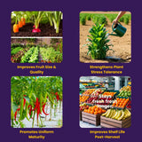 NOP 13 00 45 - Potassium Nitrate, NPK Fertilizers for Plants Growth & Healthy Home Garden | 100% Water Soluble Powder, Growth Boost for Fruits and Flowers - 25 Kg Bag - Utkarsh Agrochem Pvt ltd. 