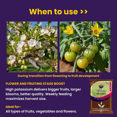NOP 13 00 45 - Potassium Nitrate, NPK Fertilizers for Plants Growth & Healthy Home Garden | 100% Water Soluble Powder, Growth Boost for Fruits and Flowers - 25 Kg Bag - Utkarsh Agrochem Pvt ltd. 