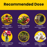 NOP 13 00 45 - Potassium Nitrate, NPK Fertilizers for Plants Growth & Healthy Home Garden | 100% Water Soluble Powder, Growth Boost for Fruits and Flowers - 25 Kg Bag - Utkarsh Agrochem Pvt ltd. 