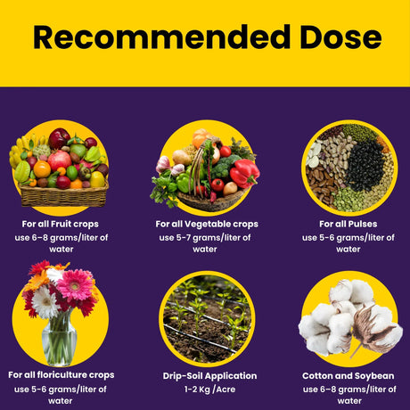 NOP 13 00 45 - Potassium Nitrate, NPK Fertilizers for Plants Growth & Healthy Home Garden | 100% Water Soluble Powder, Growth Boost for Fruits and Flowers - 25 Kg Bag - Utkarsh Agrochem Pvt ltd. 
