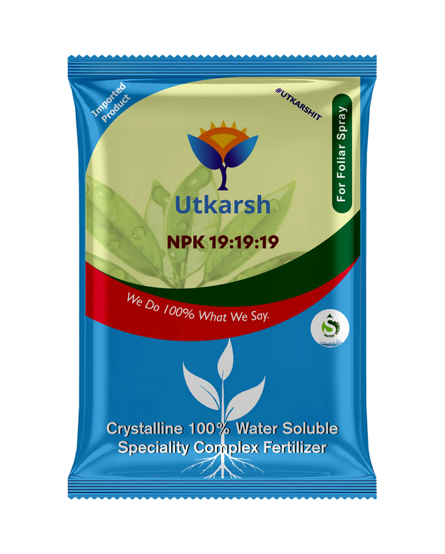 NPK 19-19-19 balanced fertilizer 1 kg for overall plant growth
