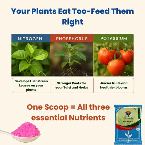NPK 19 19 19 Fertilizer for Plants Growth | 100% Water Soluble | Complete Plant Food for Home Garden, Boosts Plant Health and Flowering - Utkarsh Agrochem Pvt ltd. 
