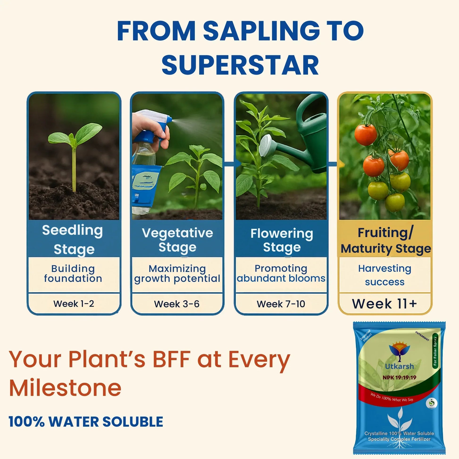 NPK 19 19 19 Fertilizer for Plants Growth | 100% Water Soluble | Complete Plant Food for Home Garden, Boosts Plant Health and Flowering - Utkarsh Agrochem Pvt ltd. 