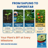 Utkarsh Complete Care Kit All-in-One Plant Nutrition Kit - Utkarsh Agrochem Pvt ltd. 