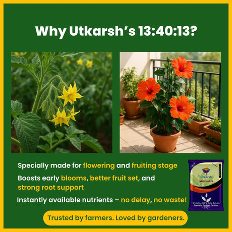 NPK 13 40 13 Fertilizers for Plants | 100% Water Soluble Powder | Complete Plant Food and Nutrition for Healthy Home Garden, Growth Boost for Fruits and Flowers - 25 Kg Bag - Utkarsh Agrochem Pvt ltd. 