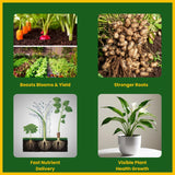 NPK 13 40 13 Fertilizers for Plants | 100% Water Soluble Powder | Complete Plant Food and Nutrition for Healthy Home Garden, Growth Boost for Fruits and Flowers - 25 Kg Bag - Utkarsh Agrochem Pvt ltd. 