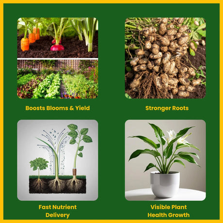 NPK 13 40 13 Fertilizers for Plants | 100% Water Soluble Powder | Complete Plant Food and Nutrition for Healthy Home Garden, Growth Boost for Fruits and Flowers - 25 Kg Bag - Utkarsh Agrochem Pvt ltd. 