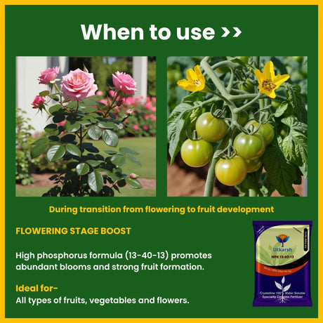 NPK 13 40 13 Fertilizers for Plants | 100% Water Soluble Powder | Complete Plant Food and Nutrition for Healthy Home Garden, Growth Boost for Fruits and Flowers - 25 Kg Bag - Utkarsh Agrochem Pvt ltd. 