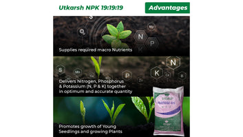 Utkarsh NPK (19:19:19) (Speciality Crystalline 100% Water Soluble Complex Fertilizer) (Drip Irrigation Fertilizer), 25 Kg Pack