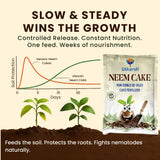 Neem Cake Powder for Plants, Organic Neem Khali Fertilizer for Home Garden, Manure for Flowers, Vegetables & Lawn