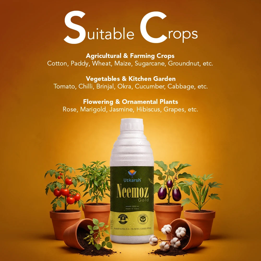 Neemoz Gold | Organic Neem Oil Bio-Insecticide with 10000 PPM Azadirachtin EC 1% W/W | Ideal for Tomato, Brinjal, Chilli, Cotton & Commercial Crop Pest Control