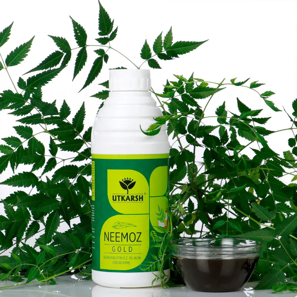 Neemoz-Gold (Azadirachtin E.C. 1% w/w, 10000 ppm) Neem Oil Based Natural Insecticide - Utkarsh Agrochem Pvt ltd. 
