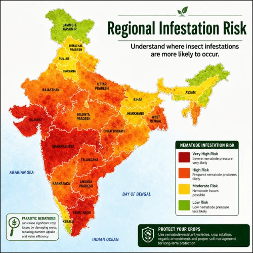 Regional Deficiency Map