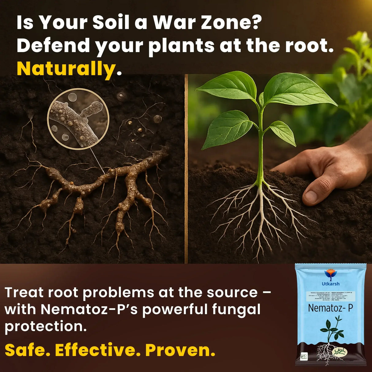 Verticillium Chlamydosporium | Pochonia Chlamydosporia 1.0% W.P 2 x 10^6 CFU/gm min. Bio Nematicides for Plants, Crops and Home Gardening - Nematoz-P - Utkarsh Agrochem Pvt ltd. 