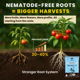 Verticillium Chlamydosporium | Pochonia Chlamydosporia 1.0% W.P 2 x 10^6 CFU/gm min. Bio Nematicides for Plants, Crops and Home Gardening - Nematoz-P - Utkarsh Agrochem Pvt ltd. 