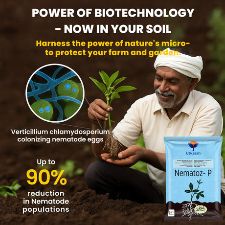 Verticillium Chlamydosporium | Pochonia Chlamydosporia 1.0% W.P 2 x 10^6 CFU/gm min. Bio Nematicides for Plants, Crops and Home Gardening - Nematoz-P - Utkarsh Agrochem Pvt ltd. 