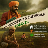 Verticillium Chlamydosporium | Pochonia Chlamydosporia 1.0% W.P 2 x 10^6 CFU/gm min. Bio Nematicides for Plants, Crops and Home Gardening - Nematoz-P - Utkarsh Agrochem Pvt ltd. 
