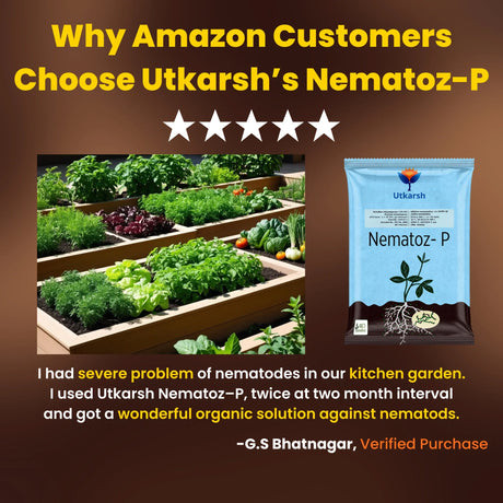 Verticillium Chlamydosporium | Pochonia Chlamydosporia 1.0% W.P 2 x 10^6 CFU/gm min. Bio Nematicides for Plants, Crops and Home Gardening - Nematoz-P - Utkarsh Agrochem Pvt ltd. 