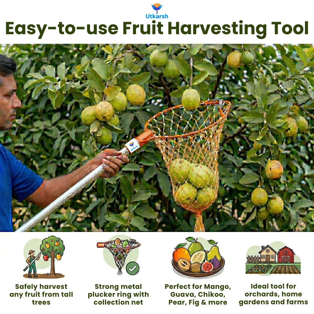 Mango Fruit Plucker with Net- 1 Pc