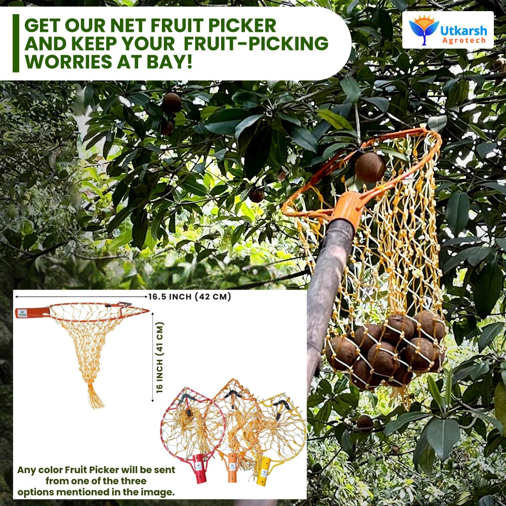 Mango Fruit Plucker with Net- 1 Pc