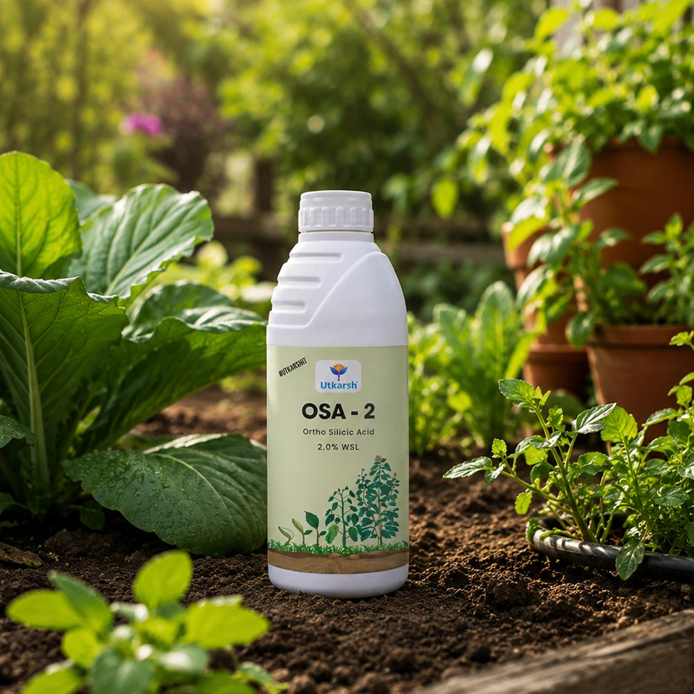 OSA-2 – Orthosilicic Acid 2% w/w Liquid | Silicon Fertilizer for Plants | Improves Plant Strength, Stress Tolerance & Yield