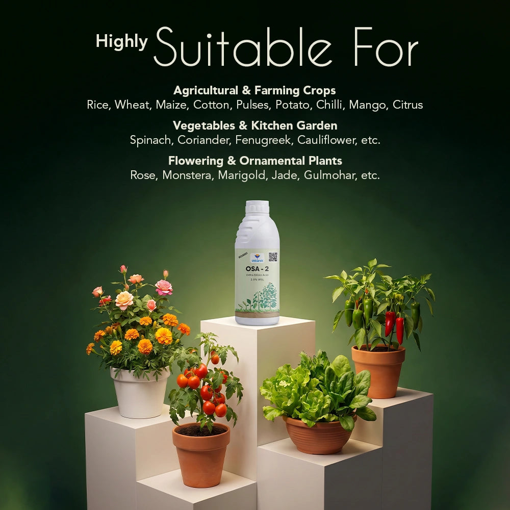 OSA-2 – Orthosilicic Acid 2% w/w Liquid | Silicon Fertilizer for Plants | Improves Plant Strength, Stress Tolerance & Yield