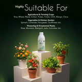 OSA-2 – Orthosilicic Acid 2% w/w Liquid | Silicon Fertilizer for Plants | Improves Plant Strength, Stress Tolerance & Yield