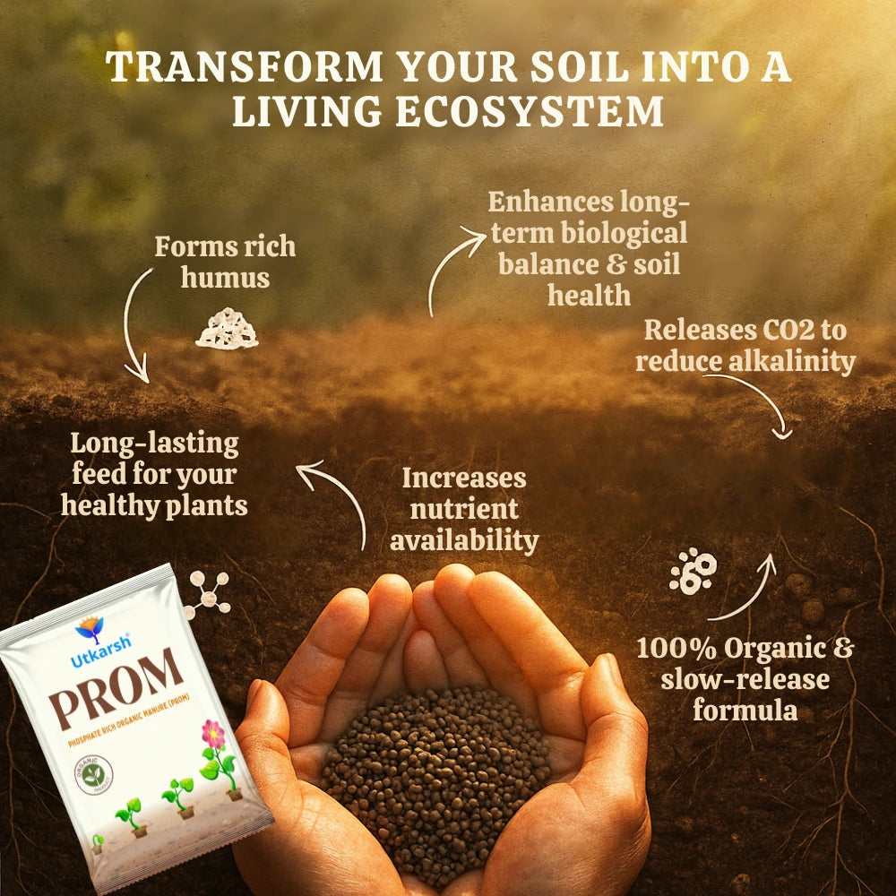 PROM - Phosphate Rich Organic Manure for Plants, Home Garden, 100% Water Soluble Granules, Fertilizers for Plants Growth, Bio DAP to Improve Flowering, Fruiting & Vegetables