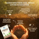 PROM - Phosphate Rich Organic Manure for Plants, Home Garden, 100% Water Soluble Granules, Fertilizers for Plants Growth, Bio DAP to Improve Flowering, Fruiting & Vegetables