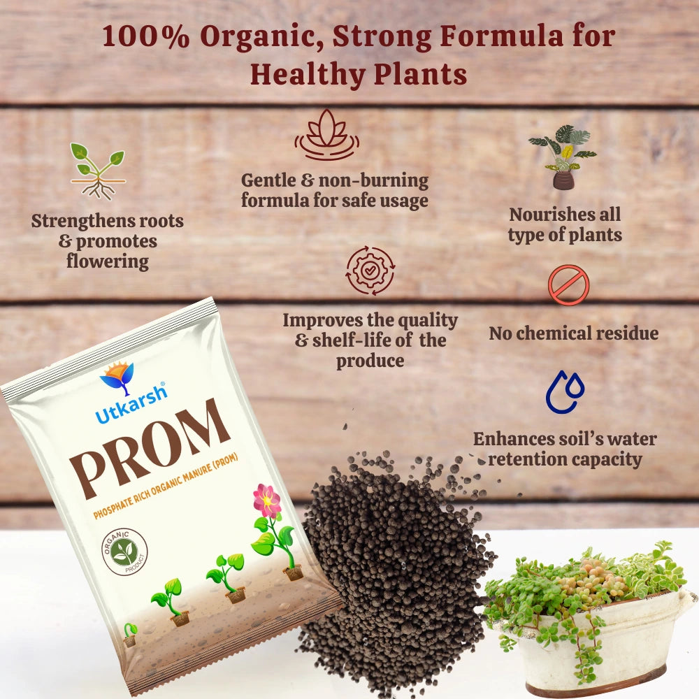 PROM - Phosphate Rich Organic Manure for Plants, Home Garden, 100% Water Soluble Granules, Fertilizers for Plants Growth, Bio DAP to Improve Flowering, Fruiting & Vegetables