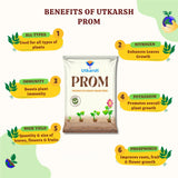 PROM - Phosphate Rich Organic Manure for Plants, Home Garden, 100% Water Soluble Granules, Fertilizers for Plants Growth, Bio DAP to Improve Flowering, Fruiting & Vegetables