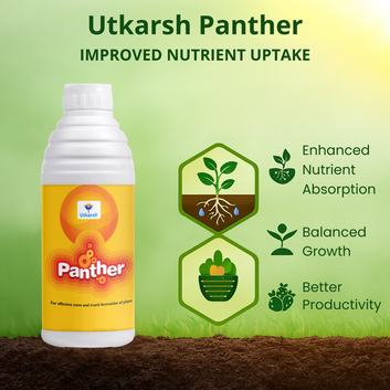 Panther (Activated Biological Formulation for Effective Flowering & Plant Growth) Biostimulant