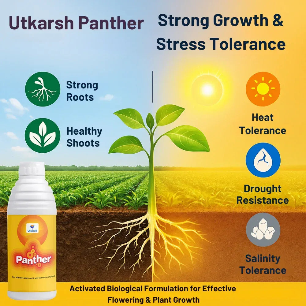 Panther (Activated Biological Formulation for Effective Flowering & Plant Growth) Biostimulant - 20 Litre - Utkarsh Agrochem Pvt ltd. 