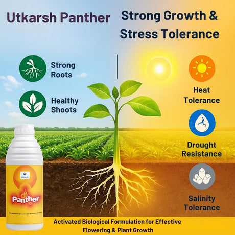Panther (Activated Biological Formulation for Effective Flowering & Plant Growth) Biostimulant - 20 Litre - Utkarsh Agrochem Pvt ltd. 