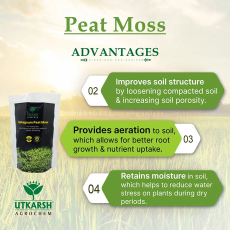 Peat Moss (For Potting Mix, Seed Starting and Improving Native Soil, Organic Gardening) - Utkarsh Agrochem Pvt ltd. 