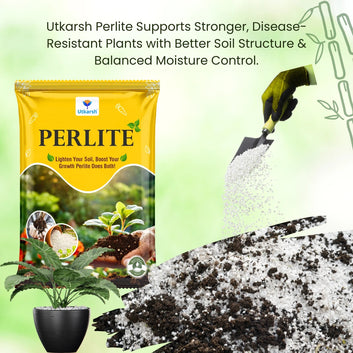 Perlite for Plants Growth, Home Terrace Garden, Indoor & Outdoor Plants, Hydroponics & Horticulture, Conditioner for Potting Soil Mix, Enhances Drainage & Aeration | Size: 2 - 7 mm