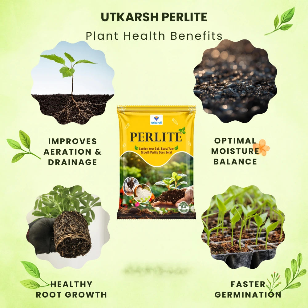 Perlite for Plants Growth, Home Terrace Garden, Indoor & Outdoor Plants, Hydroponics & Horticulture, Conditioner for Potting Soil Mix, Enhances Drainage & Aeration | Size: 2 - 7 mm
