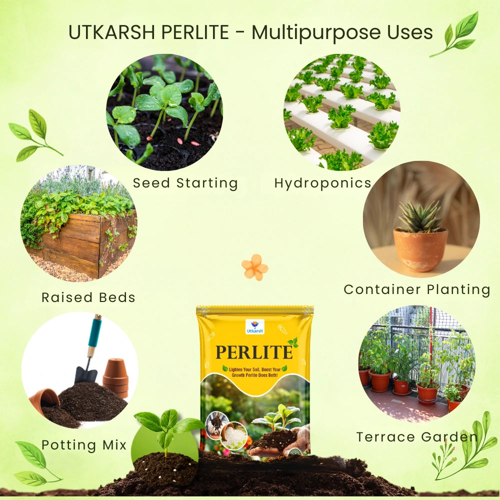 Perlite for Plants Growth, Home Terrace Garden, Indoor & Outdoor Plants, Hydroponics & Horticulture, Conditioner for Potting Soil Mix, Enhances Drainage & Aeration | Size: 2 - 7 mm