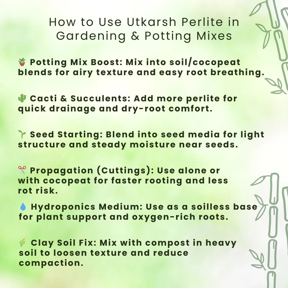 Perlite for Plants Growth, Home Terrace Garden, Indoor & Outdoor Plants, Hydroponics & Horticulture, Conditioner for Potting Soil Mix, Enhances Drainage & Aeration | Size: 2 - 7 mm