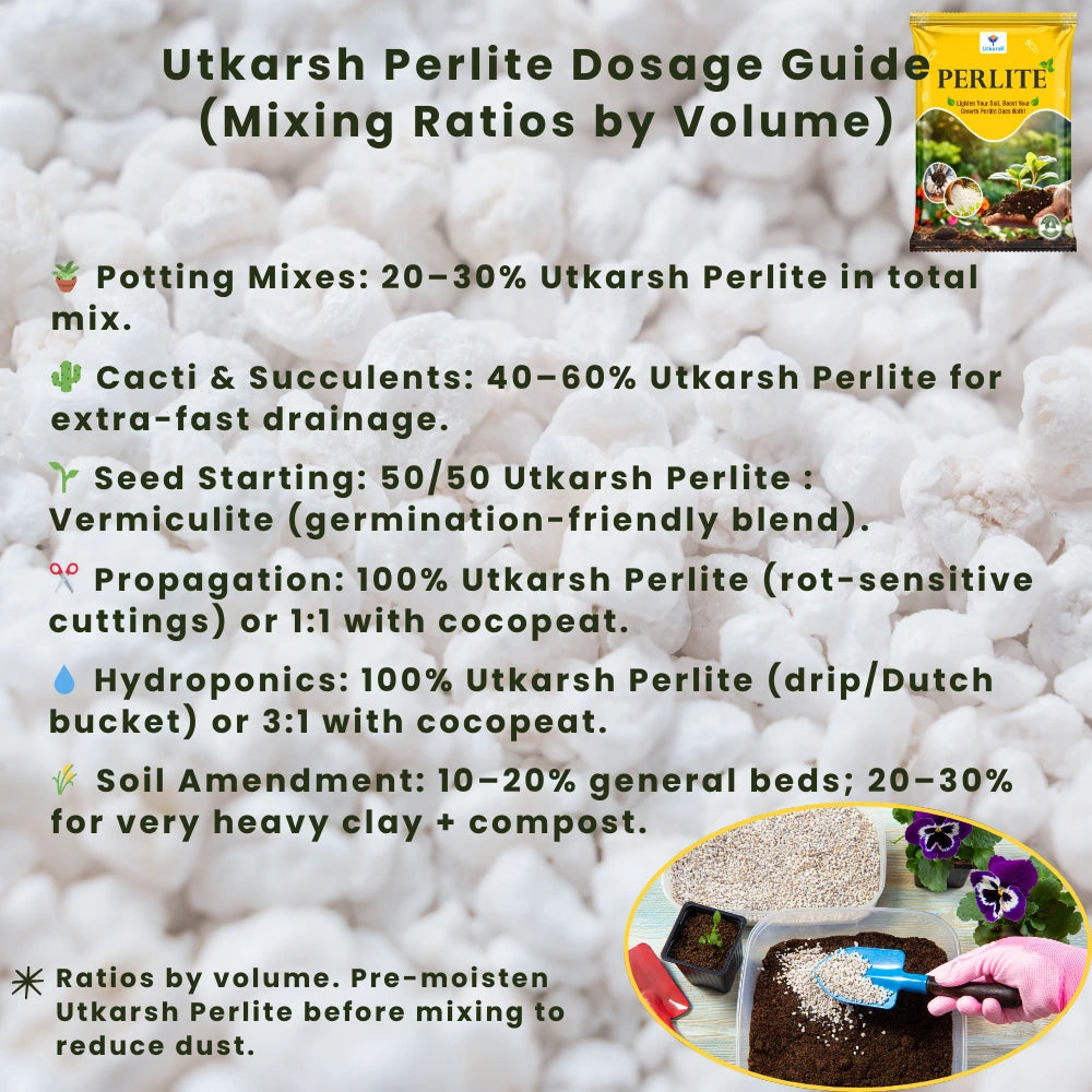 Perlite for Plants Growth, Home Terrace Garden, Indoor & Outdoor Plants, Hydroponics & Horticulture, Conditioner for Potting Soil Mix, Enhances Drainage & Aeration | Size: 2 - 7 mm