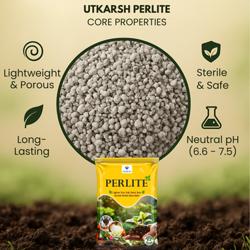 Perlite for Plants Growth, Home Terrace Garden, Indoor & Outdoor Plants, Hydroponics & Horticulture, Conditioner for Potting Soil Mix, Enhances Drainage & Aeration | Size: 2 - 7 mm