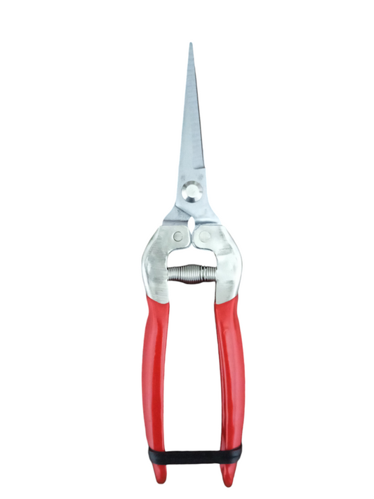 Bonsai Clipper Shear Scissors- 1 Pc