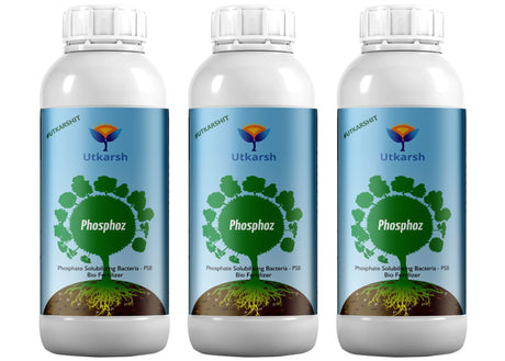 Phosphate Solubilizing Bacteria - PSB, Liquid Bio Fertilizer for Plants Growth, Nutrition, Develops Roots, Increases Flowering & Fruits, Crops | Phosphoz - Utkarsh Agrochem Pvt ltd. 