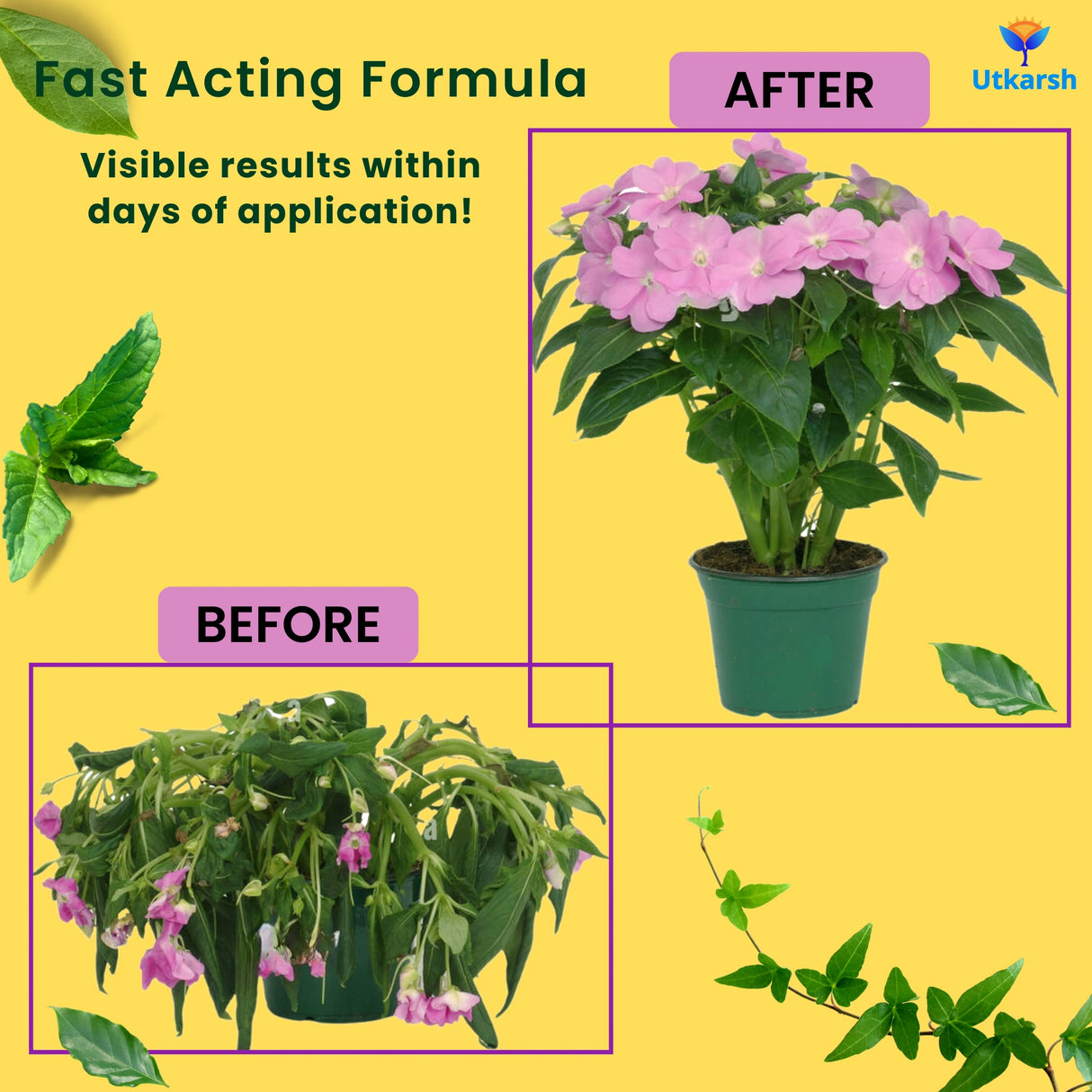 Plant Boost - Liquid Bio Fertilizer, Organic Growth Booster for Faster, Healthier Home Garden Plants, Ideal for Vegetables, Flowers, Herbs & Promotes Healthy Roots (Pack of 3 of 50 ml)