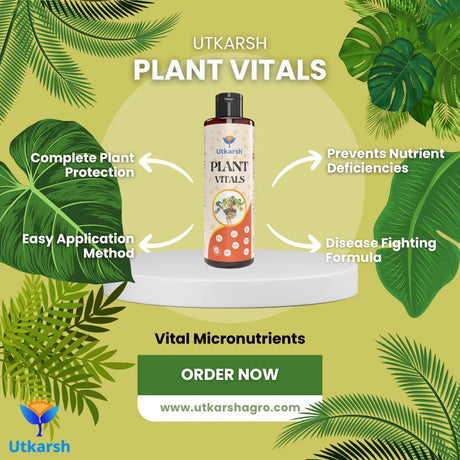 Plant Growth & Nutrition Kit - Promotes Healthy Roots & Robust Growth, Immunity Booster, Organic Liquid Fertilizer & Micronutrients for Home Garden, Indoor & Outdoor Plants - Utkarsh Agrochem Pvt ltd. 
