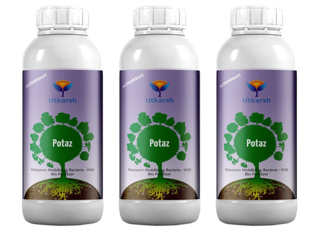 Potassium Solubilizing Bacteria - KSB, Liquid Bio Fertilizer for Plants Growth, Enhances Water Retention and Size, Colour, Quality & Yield of Fruits, Crops | Potaz - Utkarsh Agrochem Pvt ltd. 