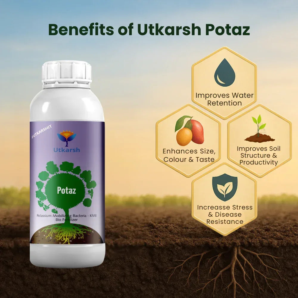 Potassium Solubilizing Bacteria - KSB, Liquid Bio Fertilizer for Plants Growth, Enhances Water Retention and Size, Colour, Quality & Yield of Fruits, Crops | Potaz - 20 Litre - Utkarsh Agrochem Pvt ltd. 