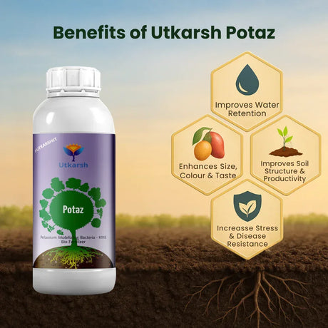 Potassium Solubilizing Bacteria - KSB, Liquid Bio Fertilizer for Plants Growth, Enhances Water Retention and Size, Colour, Quality & Yield of Fruits, Crops | Potaz - 20 Litre - Utkarsh Agrochem Pvt ltd. 