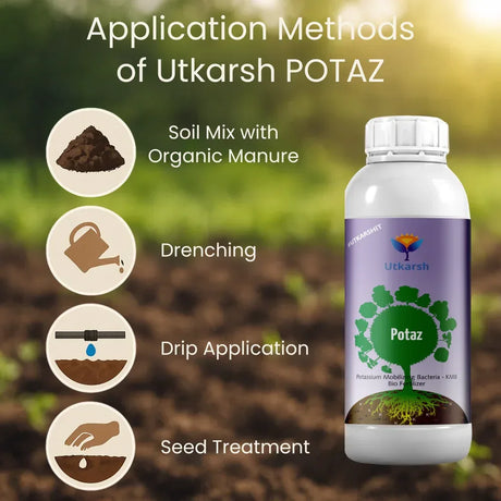 Potassium Solubilizing Bacteria - KSB, Liquid Bio Fertilizer for Plants Growth, Enhances Water Retention and Size, Colour, Quality & Yield of Fruits, Crops | Potaz - 20 Litre - Utkarsh Agrochem Pvt ltd. 
